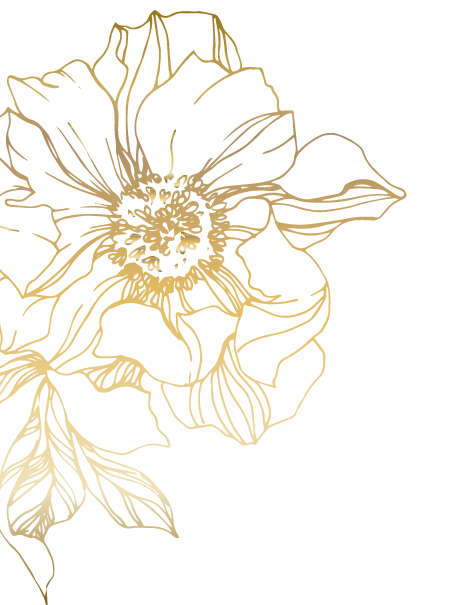 blume links 1 blume links 1